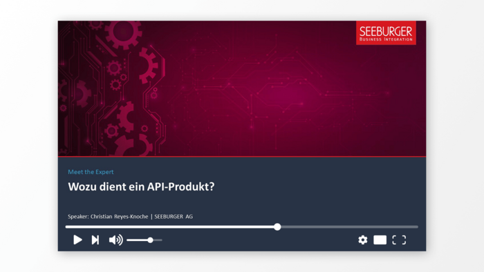Wozu dient ein API Produkt?