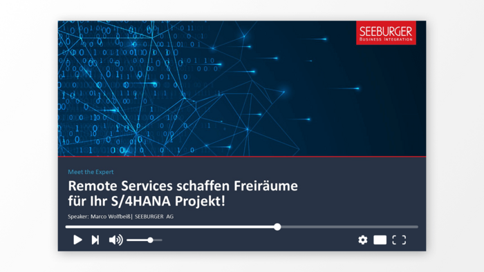 Remote Services schaffen Freiräume für Ihr S/4HANA Projekt!