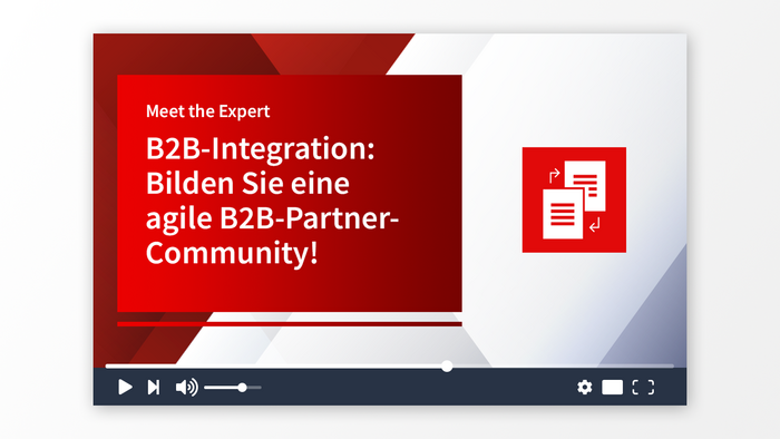 B2B-Integration: Bilden Sie eine agile B2B-Partner-Community!