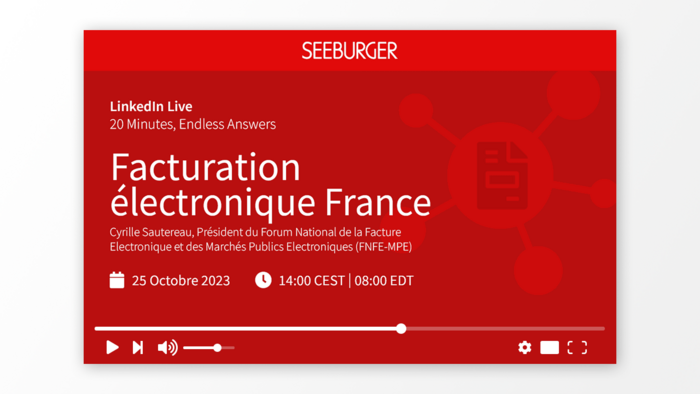 Interview: Facturation électronique France (Englisch subtitels)