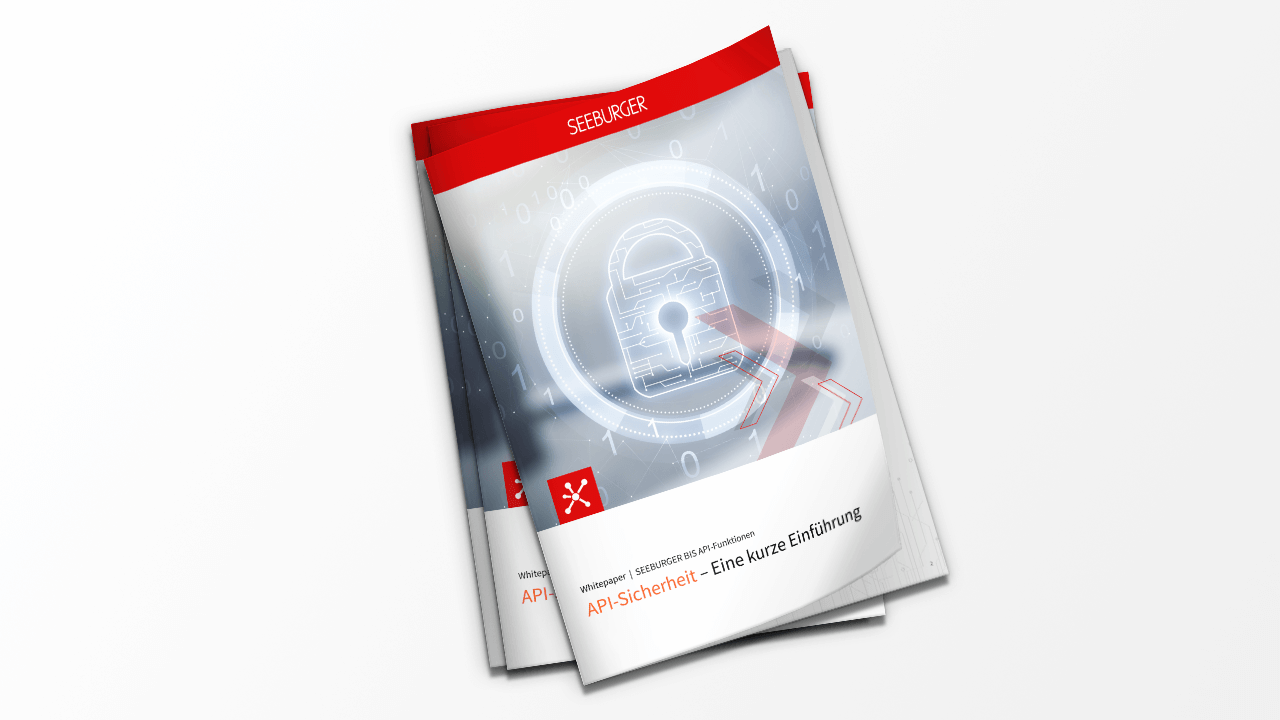 Whitepaper: API-Sicherheit – Eine kurze Einführung | DE