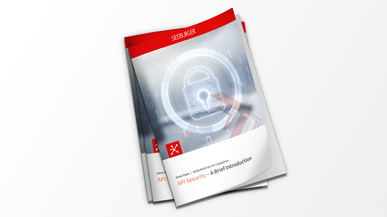 White Paper: API Security – A Brief Introduction | EN